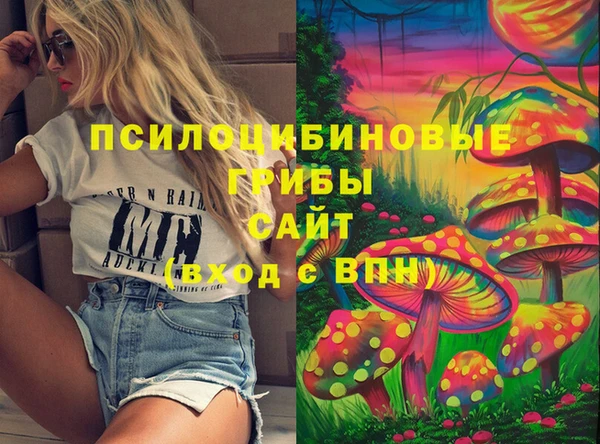 хмурый Белоозёрский