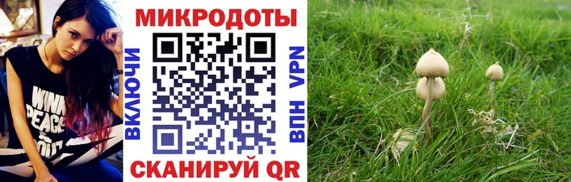 Галлюциногенные грибы MAGIC MUSHROOMS  Тогучин 