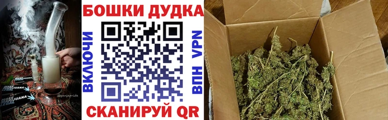 Конопля Amnesia  ОМГ ОМГ как зайти  Тогучин  цены  